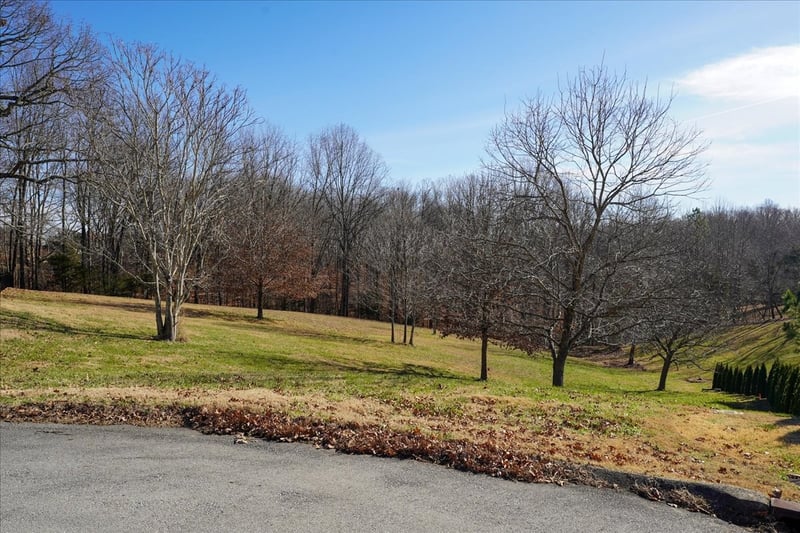 7228 Mccormick Ln, Fairview, TN 37062
