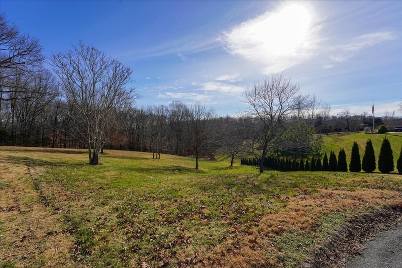 7228 Mccormick Ln, Fairview, TN 37062