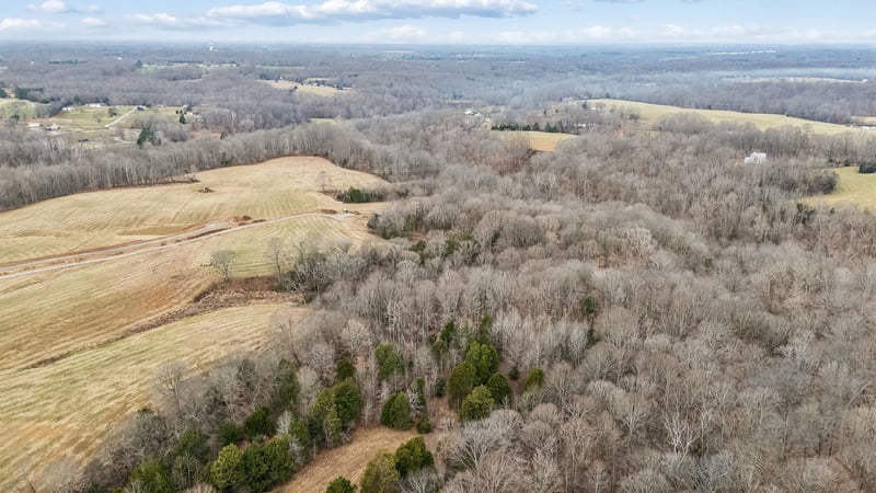 Lights Chapel Rd Lot #4, Greenbrier, TN 37073