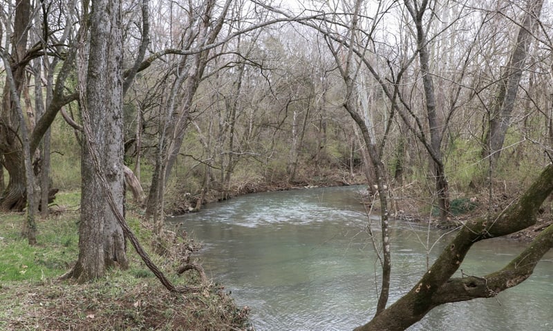 Oxford Village Cv, Columbia, TN 38401
