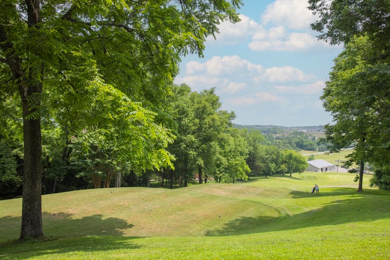 111 Country Hills Dr, Hendersonville, TN 37075