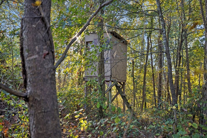 W Sheepneck Rd, Mount Pleasant, TN 38474