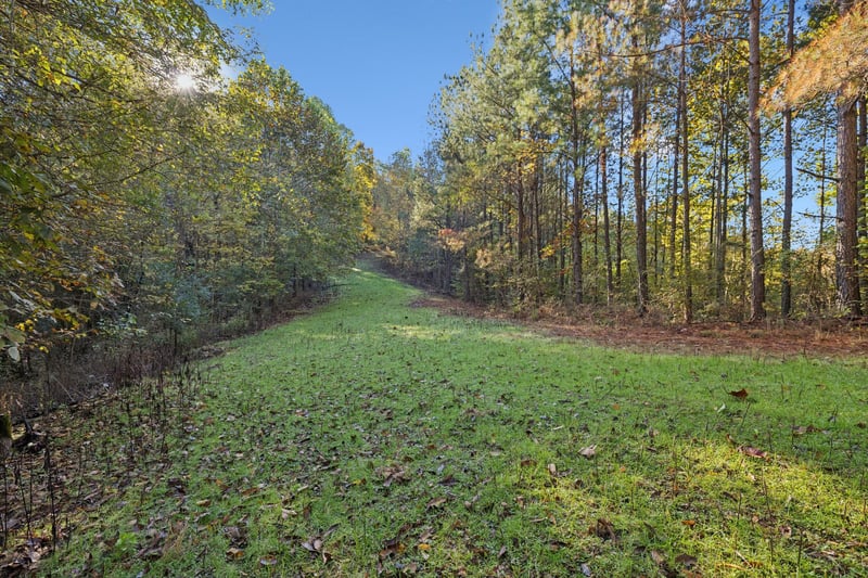 W Sheepneck Rd, Mount Pleasant, TN 38474