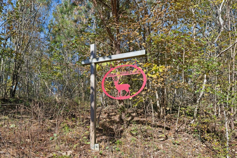 W Sheepneck Rd, Mount Pleasant, TN 38474