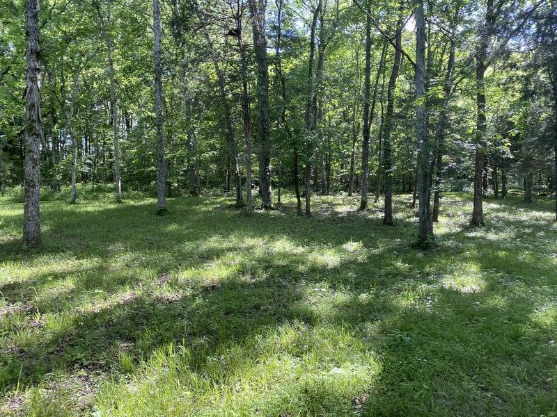 2342 Spain Hill Rd, Lascassas, TN 37085