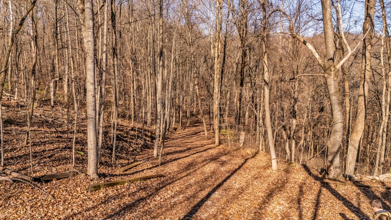 218 Forest Ridge Ct, Franklin, TN 37069