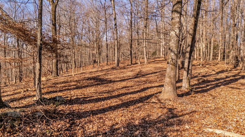 218 Forest Ridge Ct, Franklin, TN 37069