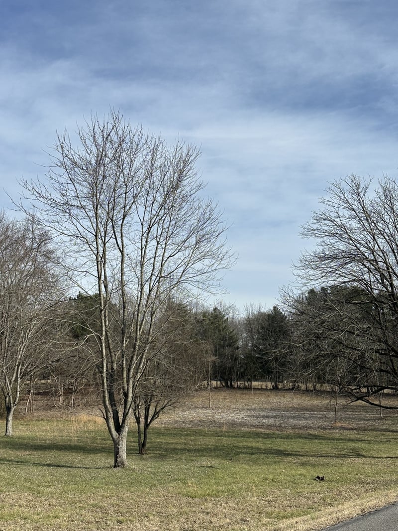 1991 Raymond Hodges Rd, Cottontown, TN 37048