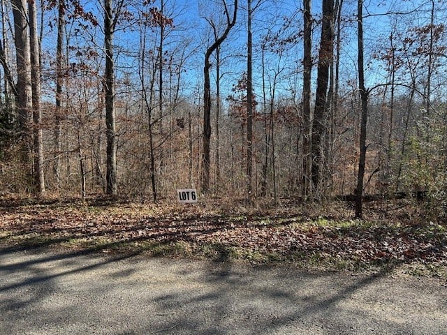 6 Slaughter Rd Lot 6, Primm Springs, TN 38476