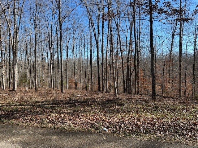 6 Slaughter Rd Lot 6, Primm Springs, TN 38476