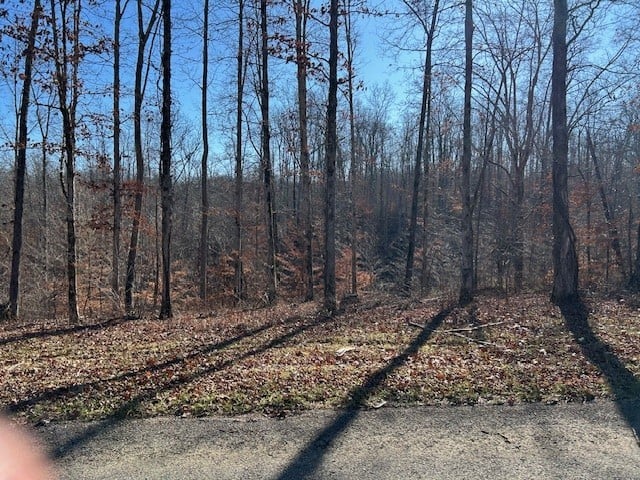 7 Slaughter Rd, Primm Springs, TN 38476