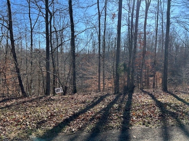 7 Slaughter Rd, Primm Springs, TN 38476
