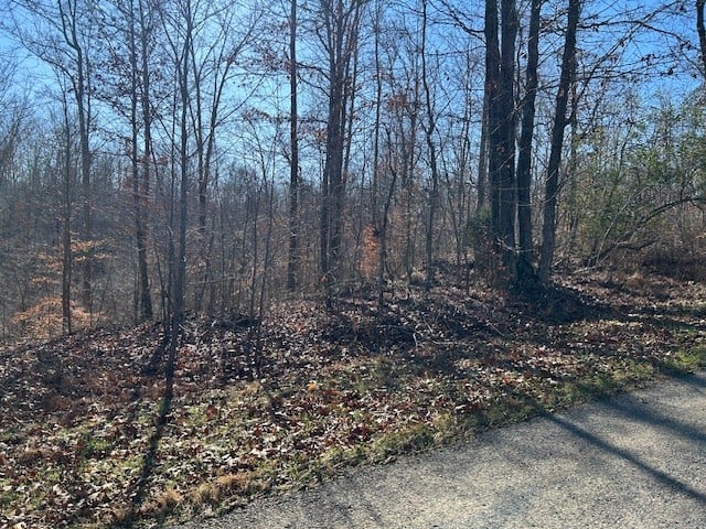 7 Slaughter Rd, Primm Springs, TN 38476