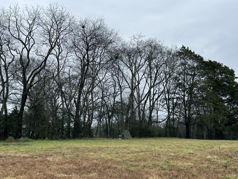 1505 Martha Washington Way, Murfreesboro, TN 37130