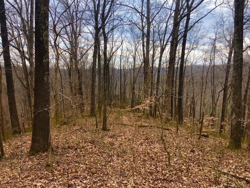 0 Simpkins Rd, Whites Creek, TN 37189