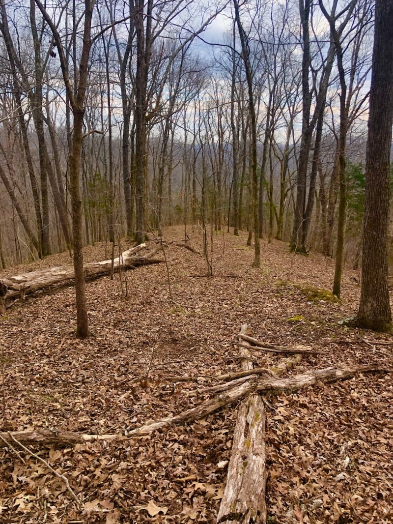 0 Simpkins Rd, Whites Creek, TN 37189