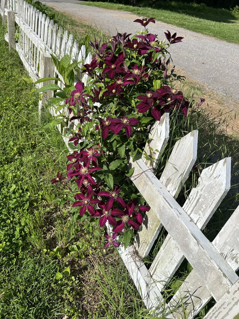 251 Gibbs Ln, Gallatin, TN 37066