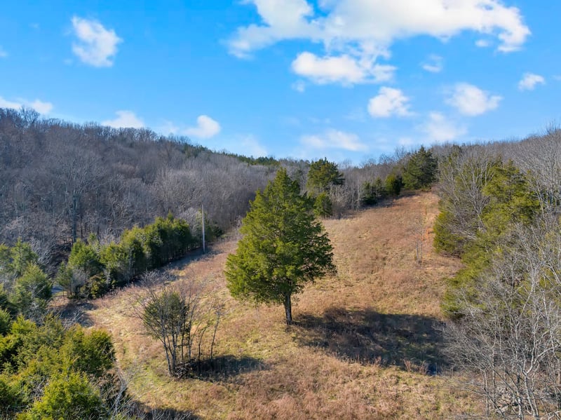 Rocky Branch Rd, Watertown, TN 37184