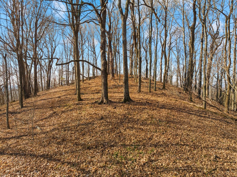 Rocky Branch Rd, Watertown, TN 37184