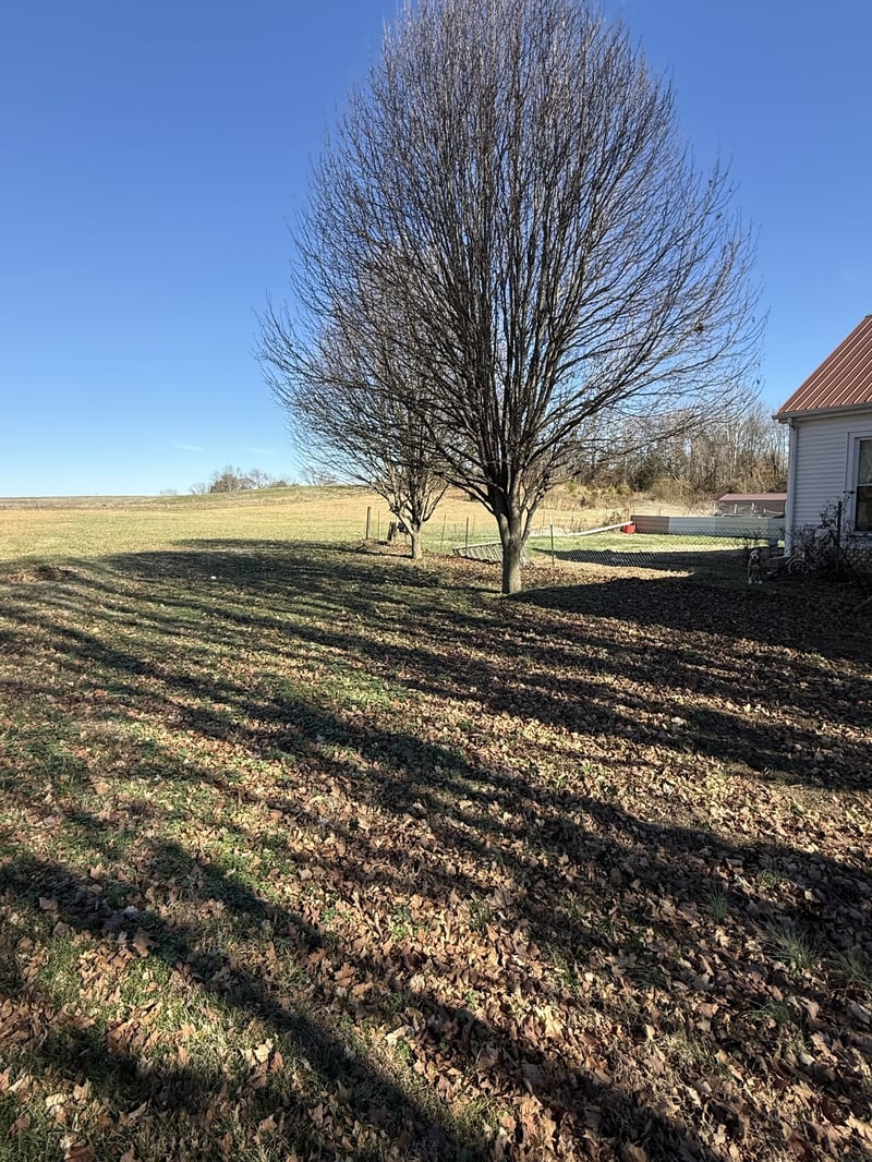 820 Highway 52 East, Portland, TN 37148