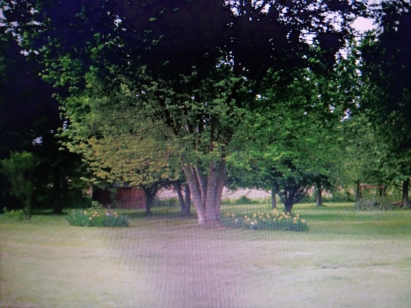 1337 Oaklawn Rd, Chapmansboro, TN 37035