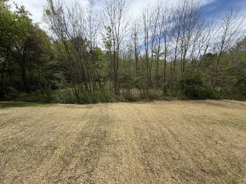 2504 Colleen Dr, Murfreesboro, TN 37128