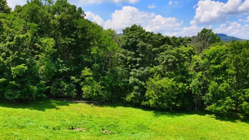 2015 Artesian Dr, Nolensville, TN 37135