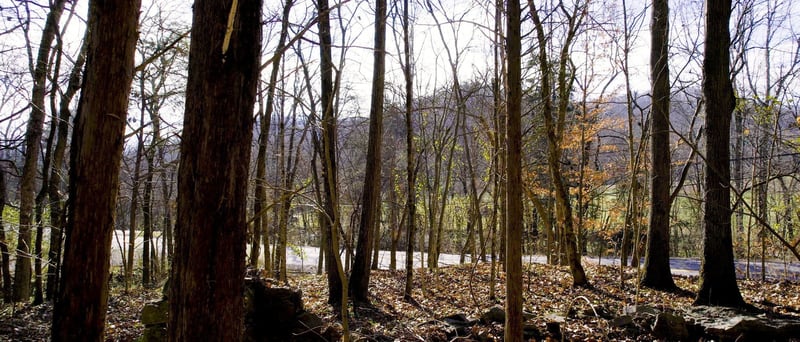 0 Whites Creek Pike, Whites Creek, TN 37189