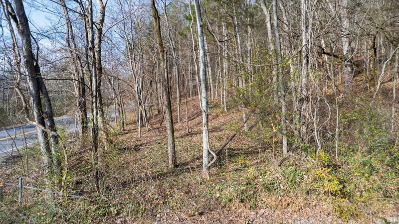 0 Whites Creek Pike, Whites Creek, TN 37189