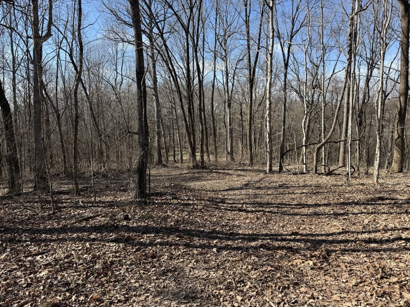 Hester Beasley Rd Lot 2, Nashville, TN 37221