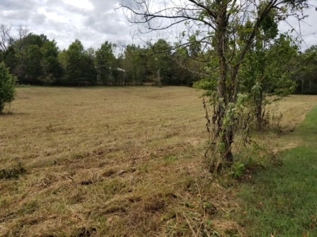 Harsh Ln, Castalian Springs, TN 37031