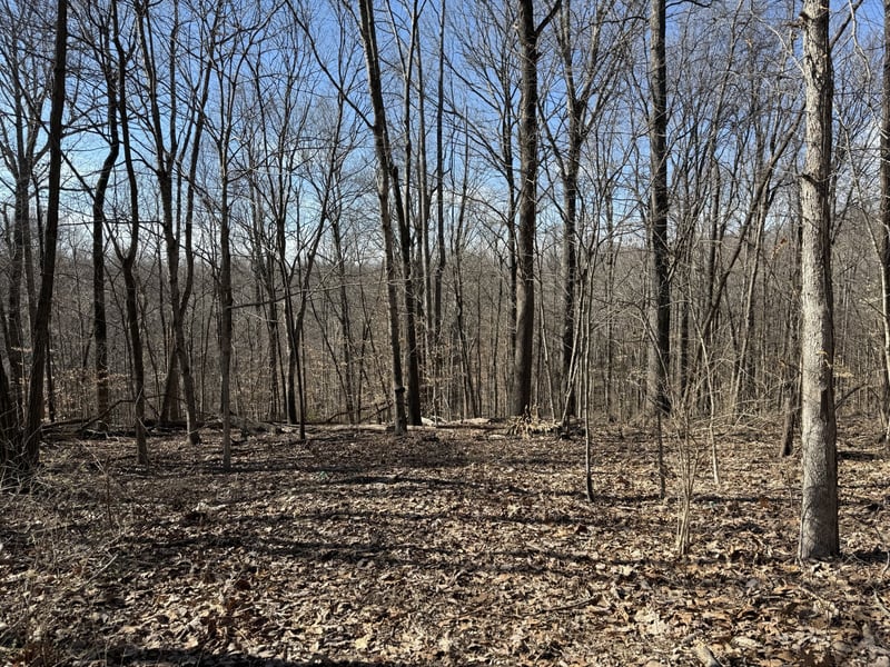 Hester Beasley Rd Lot 1, Nashville, TN 37221