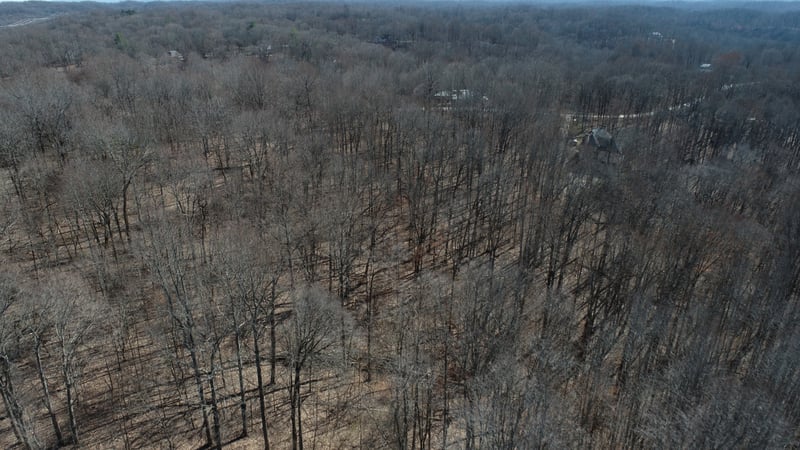 Hester Beasley Rd Lot 1, Nashville, TN 37221