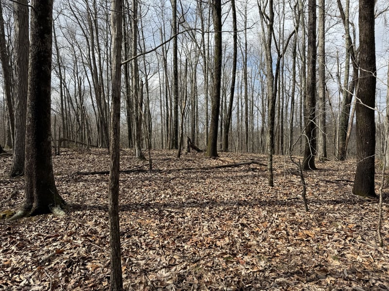 0 Hester Beasley Rd Lot 1, Nashville, TN 37221