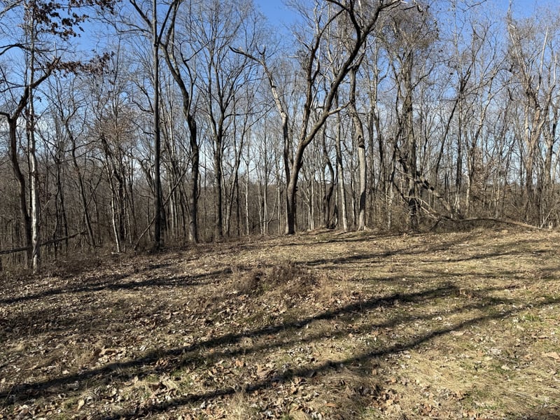 0 Hester Beasley Rd Lot 3, Nashville, TN 37221