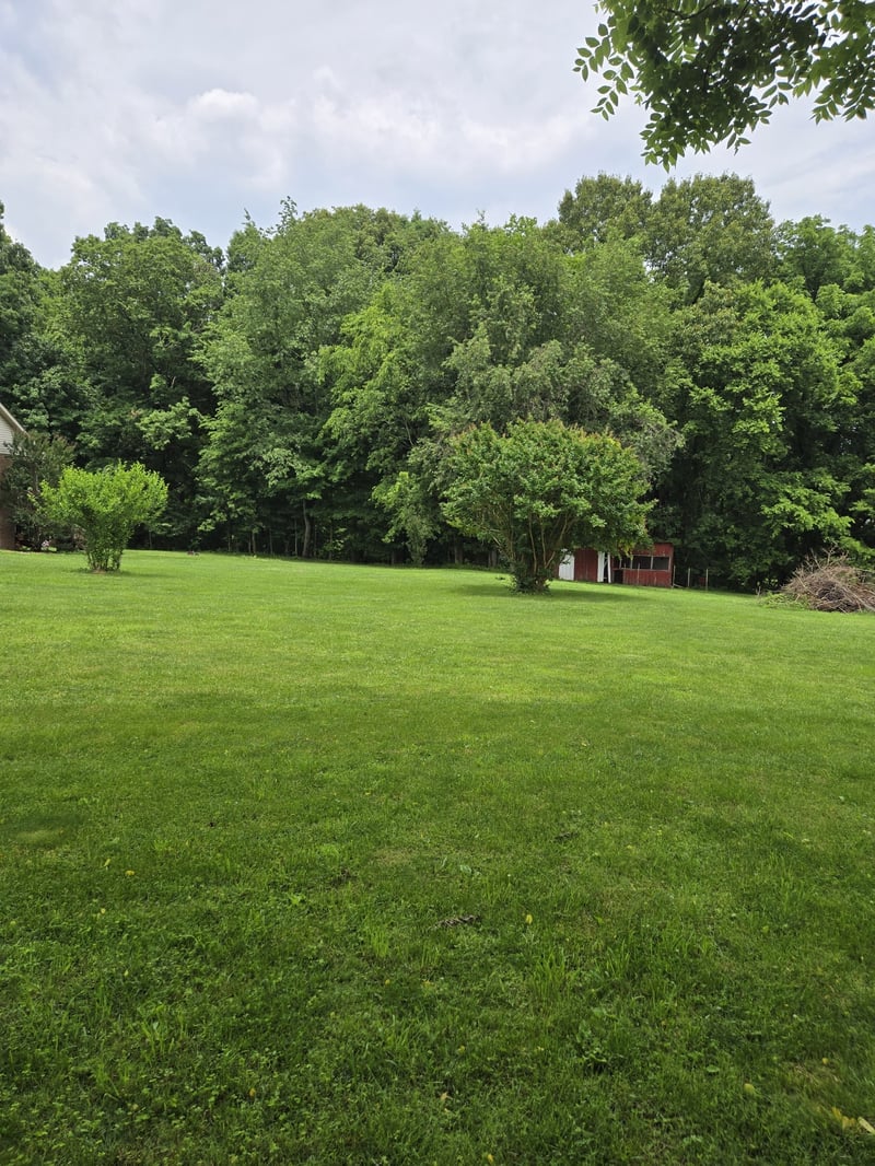 Martin Ln, Cottontown, TN 37048