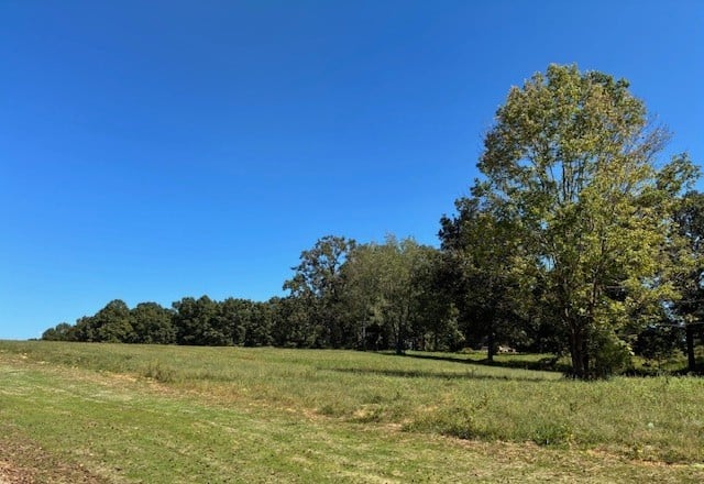 3200 Hunziker Ln, Fairview, TN 37062