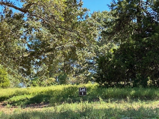 3200 Hunziker Ln, Fairview, TN 37062