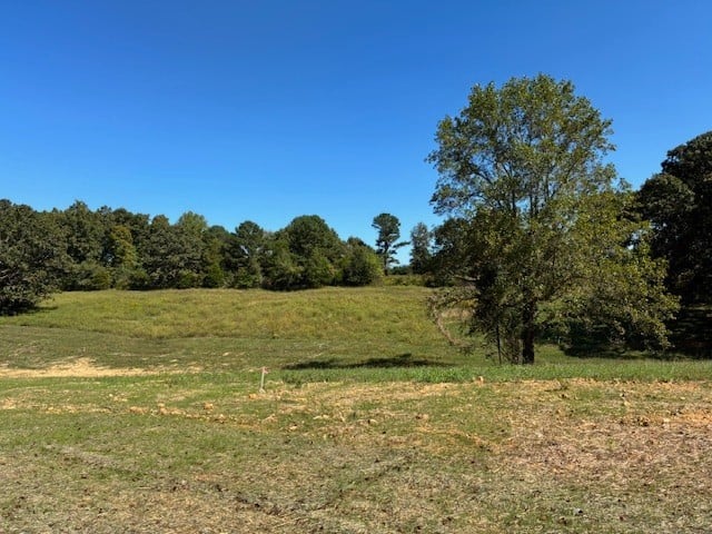 3200 Hunziker Ln, Fairview, TN 37062