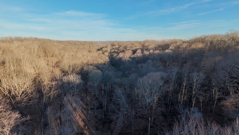 1843D Garrison Branch Rd Lot 3, Cottontown, TN 37048