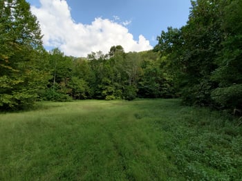 5614 Ashland City Hw, Nashville, TN 37218