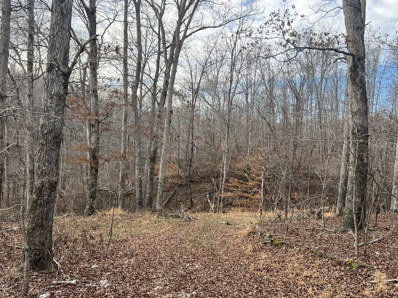 0 Billy Wynn Rd, Dickson, TN 37055