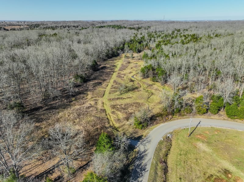 Lasea Rd, Spring Hill, TN 37174