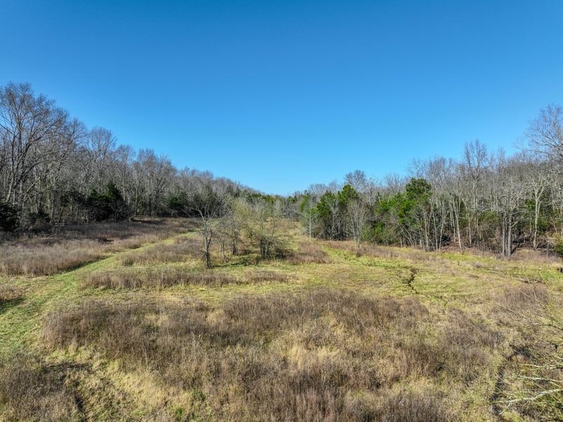 Lasea Rd, Spring Hill, TN 37174