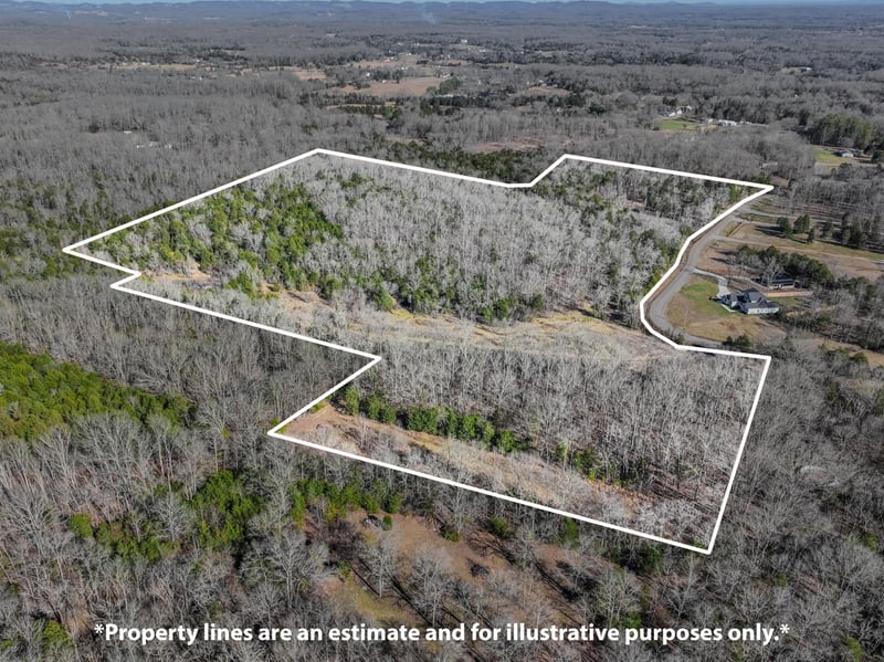 Lasea Rd, Spring Hill, TN 37174