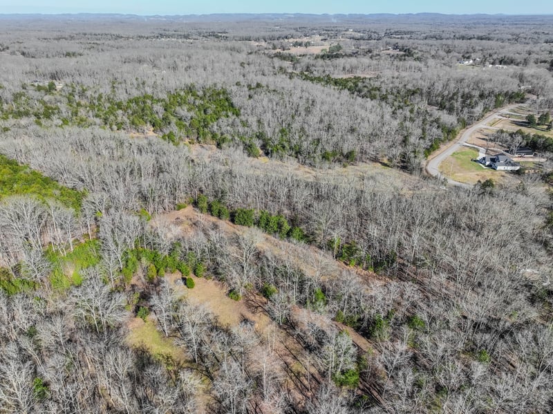 Lasea Rd, Spring Hill, TN 37174