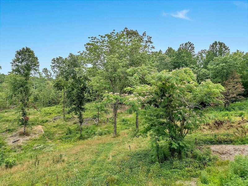 0 Red Oak Rd, Charlotte, TN 37036