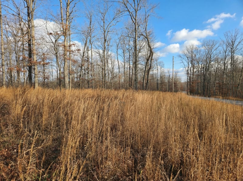 0 Havenwood Rd, Mc Ewen, TN 37101