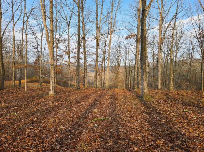 0 Havenwood Rd, Mc Ewen, TN 37101