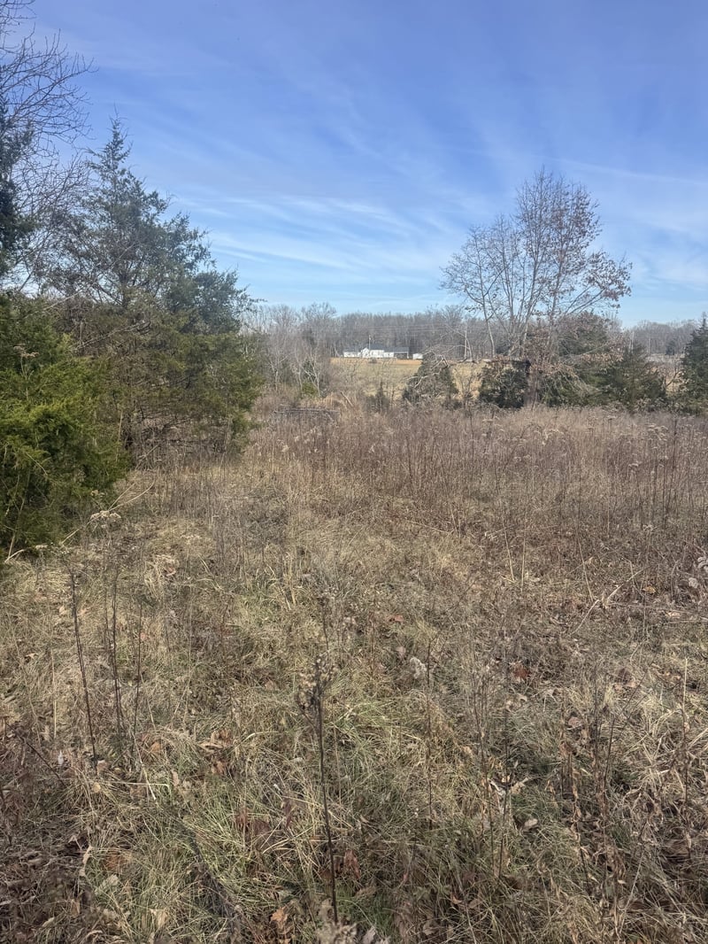 7432 Midland Rd, Christiana, TN 37037